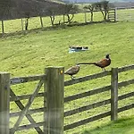 Folly Hall Farm Ugthorpe