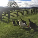 Folly Hall Farm Bed & Breakfast