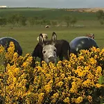 Folly Hall Farm Bed & Breakfast 4*