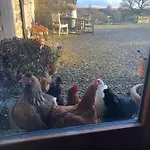 Folly Hall Farm Bed & Breakfast