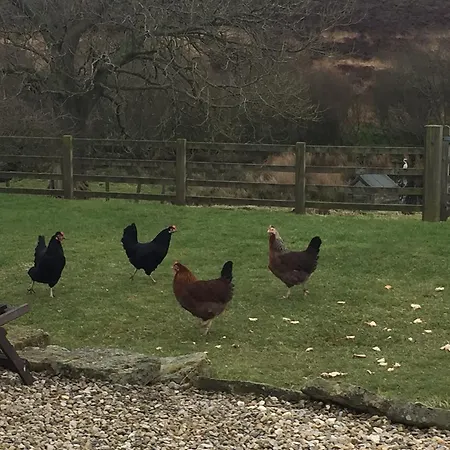 Folly Hall Farm Bed & Breakfast