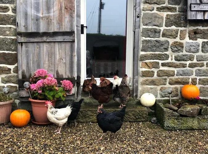 Folly Hall Farm Ugthorpe