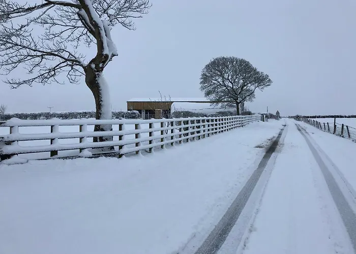 Folly Hall Farm Bed & Breakfast