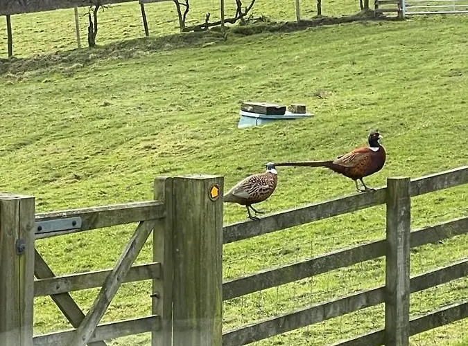 Folly Hall Farm Ugthorpe