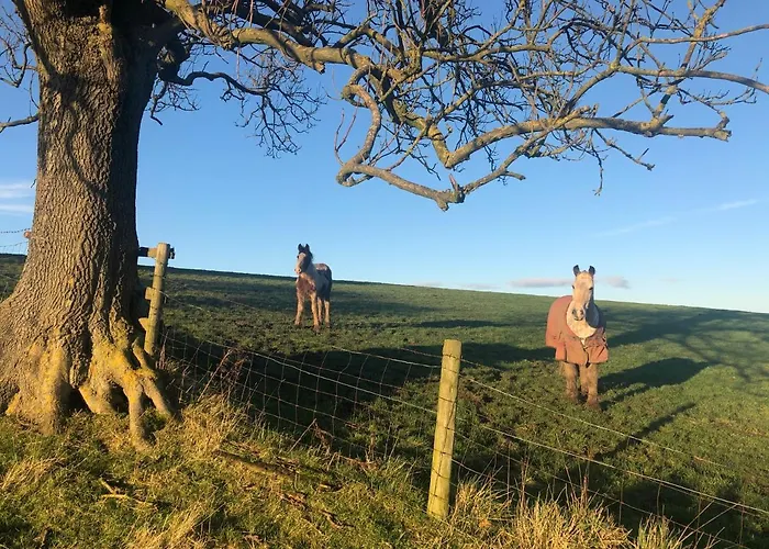 Folly Hall Farm Bed & Breakfast 3*