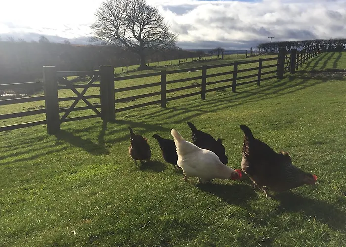 Folly Hall Farm Bed & Breakfast