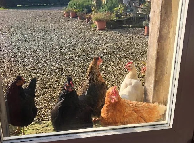 Folly Hall Farm 3* Ugthorpe