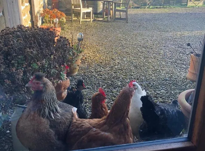 Folly Hall Farm Bed & Breakfast