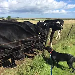 Folly Hall Farm 4*