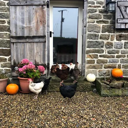 Folly Hall Farm Ugthorpe