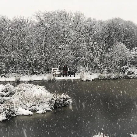 Folly Hall Farm Отель типа 