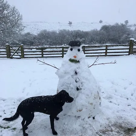 Folly Hall Farm فندق مبيت وإفطار 3*