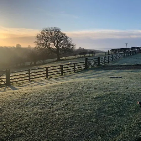 فندق مبيت وإفطار Folly Hall Farm Ugthorpe