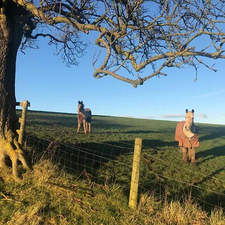 Folly Hall Farm فندق مبيت وإفطار 3*