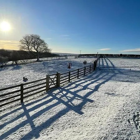 فندق مبيت وإفطار Folly Hall Farm