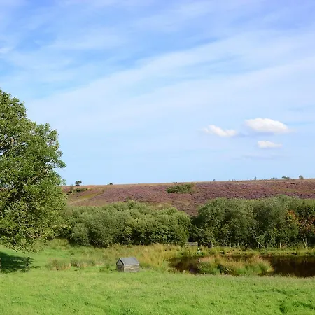 فندق مبيت وإفطار Folly Hall Farm 3*