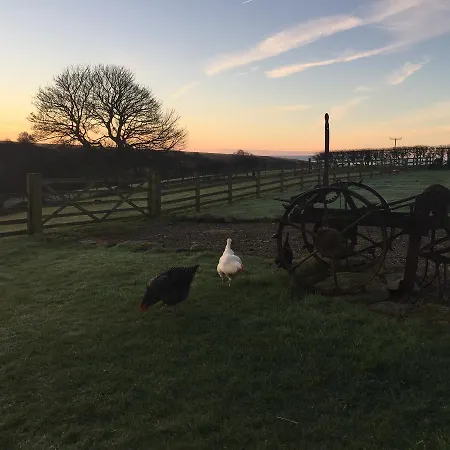 ベッド・アンド・ブレックファスト Folly Hall Farm