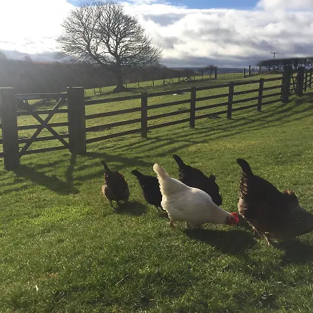 Folly Hall Farm Отель типа 