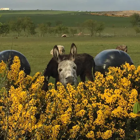 Folly Hall Farm Отель типа 
