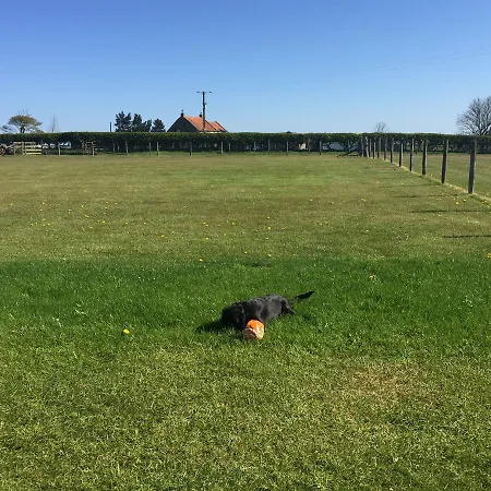 Folly Hall Farm فندق مبيت وإفطار Ugthorpe