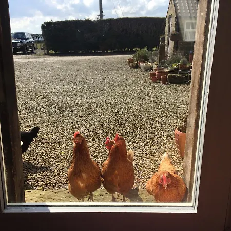 Folly Hall Farm