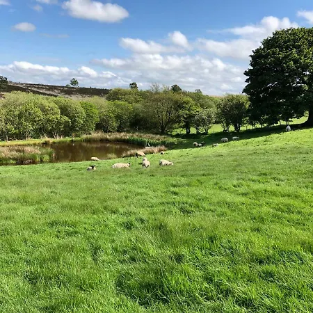 Folly Hall Farm Отель типа 