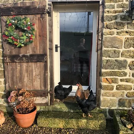 Folly Hall Farm فندق مبيت وإفطار