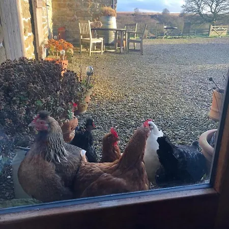 Folly Hall Farm Отель типа 