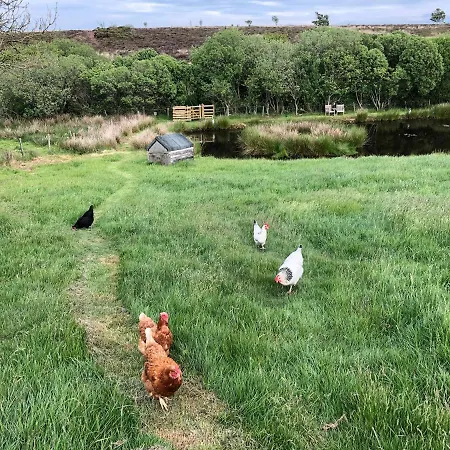 Folly Hall Farm 3* Ugthorpe