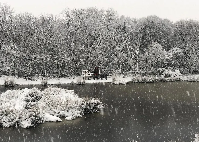 Folly Hall Farm Bed & Breakfast