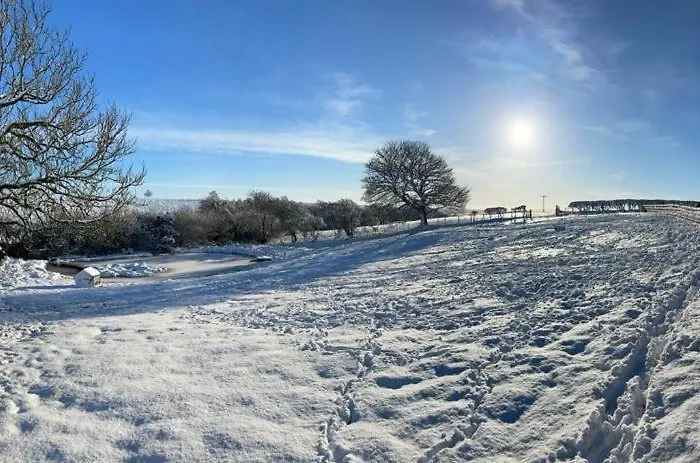 Bed & Breakfast Folly Hall Farm 3*