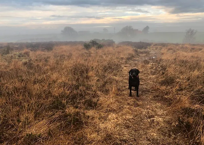 Bed & Breakfast Folly Hall Farm