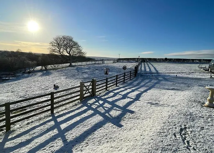 Bed & Breakfast Folly Hall Farm
