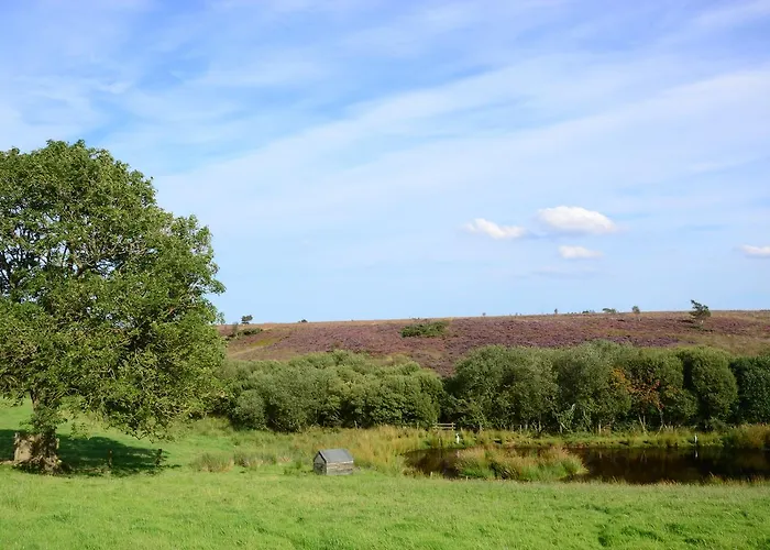 Bed & Breakfast Folly Hall Farm 3*