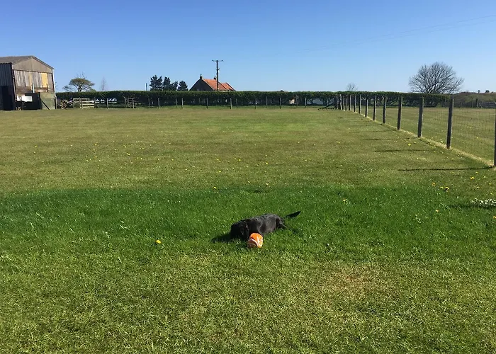 Folly Hall Farm Bed & Breakfast Ugthorpe