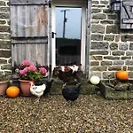 Folly Hall Farm Ugthorpe