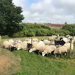 Folly Hall Farm Bed and Breakfast