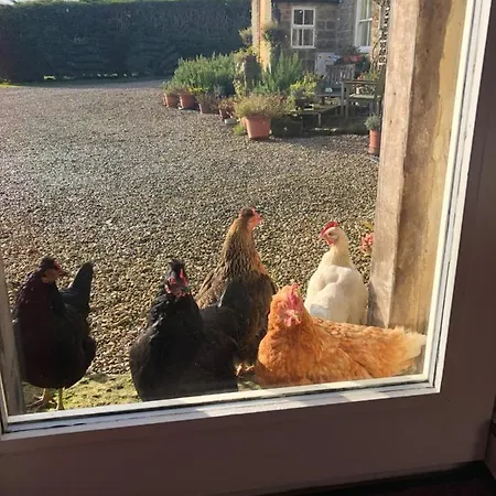 Folly Hall Farm 3* Ugthorpe