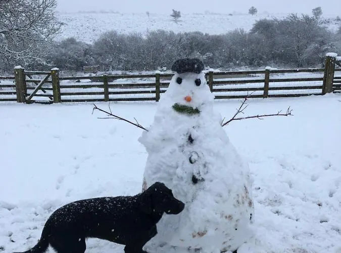 Folly Hall Farm Bed & Breakfast 3*