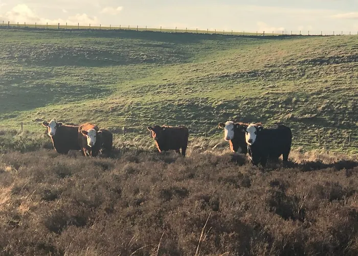 Bed & Breakfast Folly Hall Farm Ugthorpe