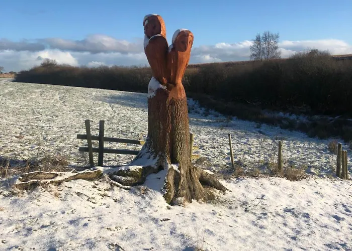 Bed & Breakfast Folly Hall Farm