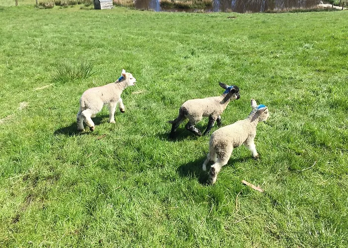 Folly Hall Farm Bed & Breakfast