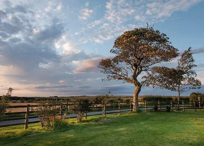 Folly Hall Farm Ugthorpe