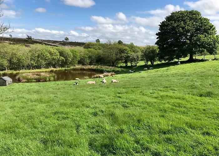 Folly Hall Farm Bed & Breakfast 3*