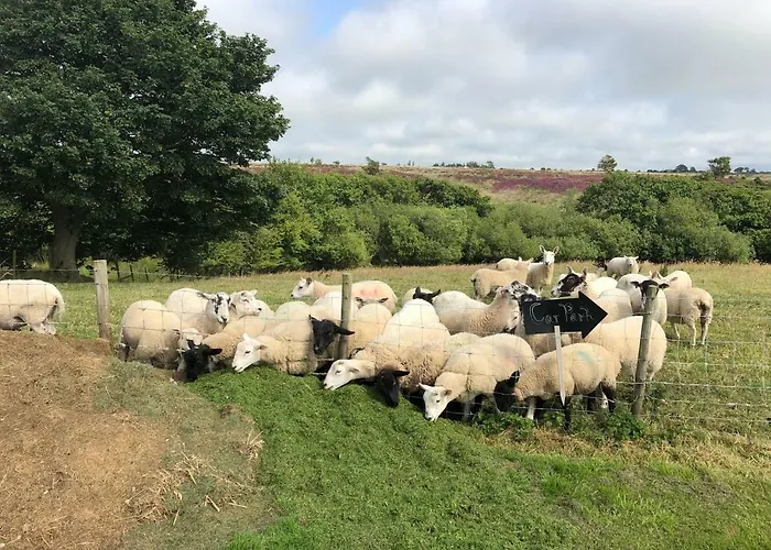 Folly Hall Farm Bed & Breakfast
