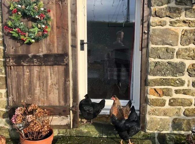 Folly Hall Farm Bed & Breakfast