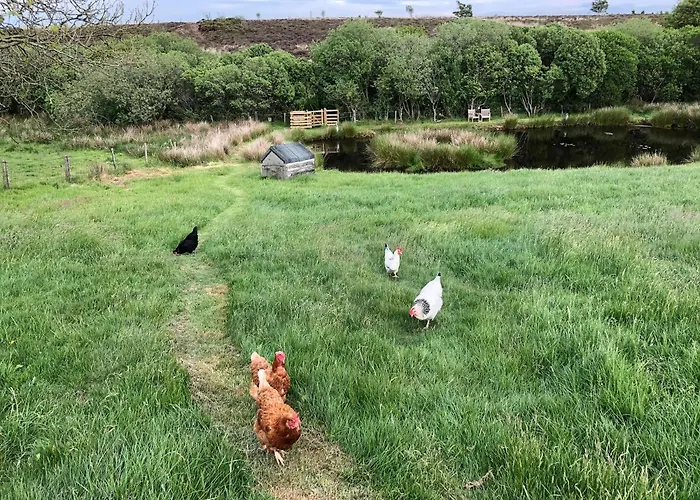 Folly Hall Farm 3* Ugthorpe